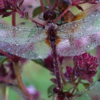 Becky Stewart Photo 13