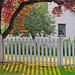 Victoria Saunders Photo 26