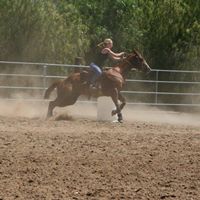 Robin Hutchins Photo 15