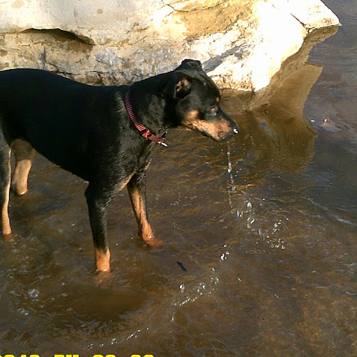 Cheryl Grogan Photo 15