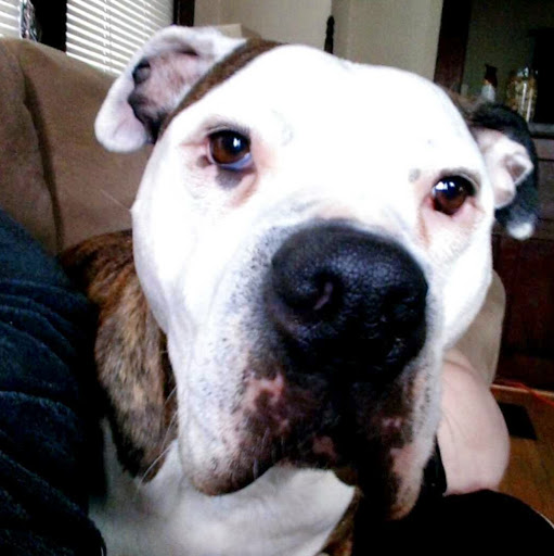 Beth Armstrong Photo 20