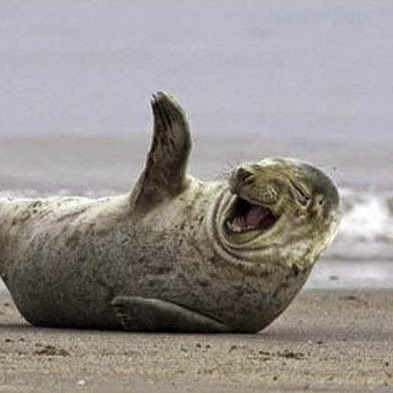 Laurie Lewis Photo 35 Laurie Lewis Photo 35