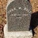 Charles Wolf Photo 44