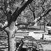 Randall Grove Photo 5