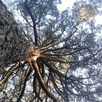 Randall Richter Photo 2