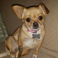Pamela Skelton Photo 19