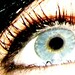 Art Dotson Photo 9