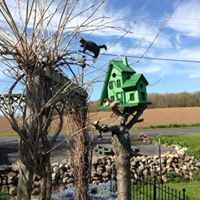 Sandra Calkins Photo 18