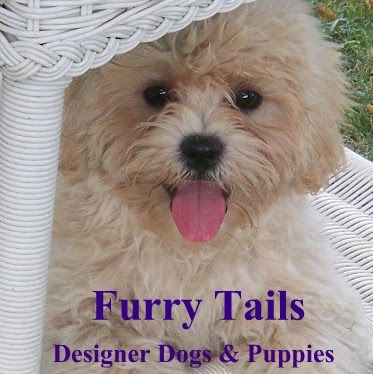 Elizabeth Schulz Photo 12