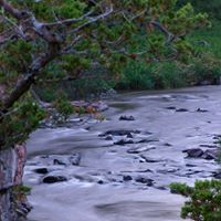 Edwin Cosme Photo 7