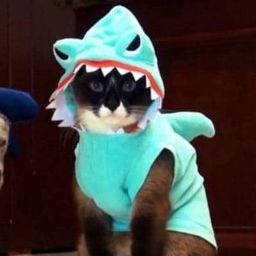 Corey Young Photo 11