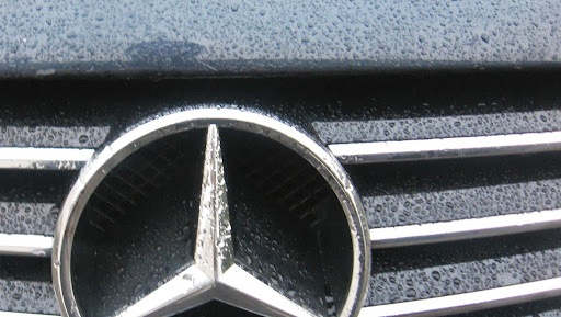 Nicolas Lang Photo 4