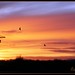 Dawn Edwards Photo 22