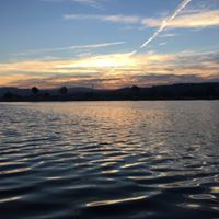 David Saylor Photo 28