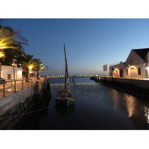 Teresa Leite Photo 9