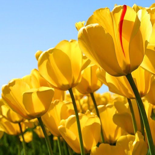 Casey Mcdowell Photo 12