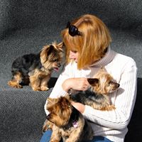 Janet Dwyer Photo 12