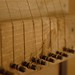 Christopher Haley Photo 22