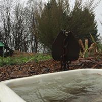 Richard Downes Photo 39