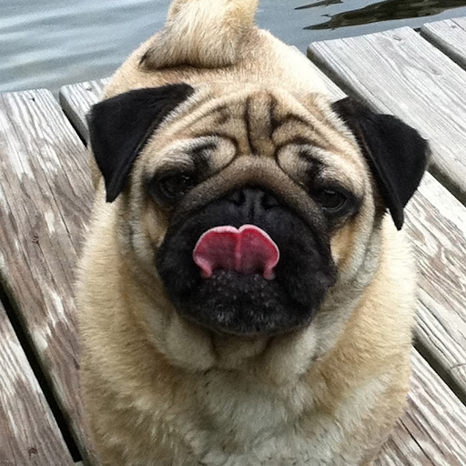 Lynnette Johnson Photo 15 Lynnette Johnson Photo 15