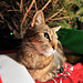 Julie Wilbur Photo 31