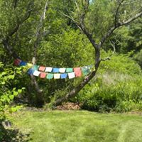 Mike Mcgrath Photo 47