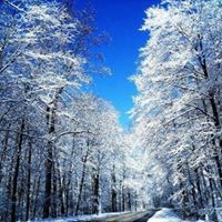 Karen Mcelhaney Photo 19