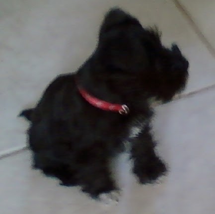 Jeanette Brewer Photo 5