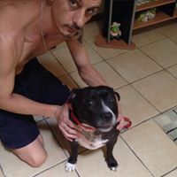 Robert Bevan Photo 7