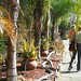 Theresa Todd Photo 35