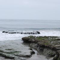 Kelly Tellez Photo 9
