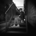 Diana Munn Photo 14