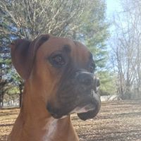 Theresa Hicks Photo 24