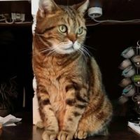 Stephanie Wolf Photo 20