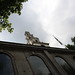 Christopher Clements Photo 32