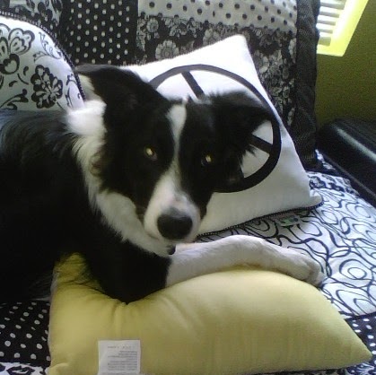 Debbie Burkhart Photo 9