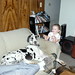 Judy Kennedy Photo 31