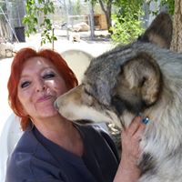 Susan Wacker Photo 10