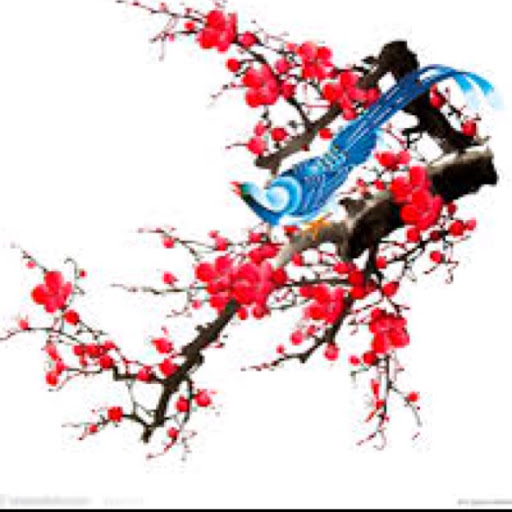 Jacqueline May Photo 6