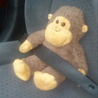 Diane Workman Photo 27