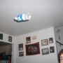 Roger Clements Photo 7