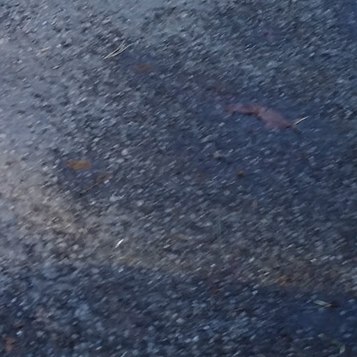 Chris Frank Photo 28