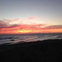 Nancy Burkett Photo 21