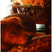 Amy Roscoe Photo 7