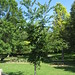 Christine Johns Photo 13