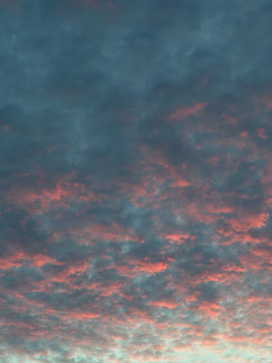 Tiffany Scott Photo 34