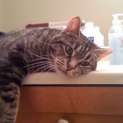 Tracy Thornton Photo 25 Tracy Thornton Photo 25