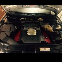 Michael Lessard Photo 23