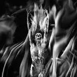 Howard Richard Photo 5