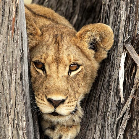 Annie Murray Photo 32